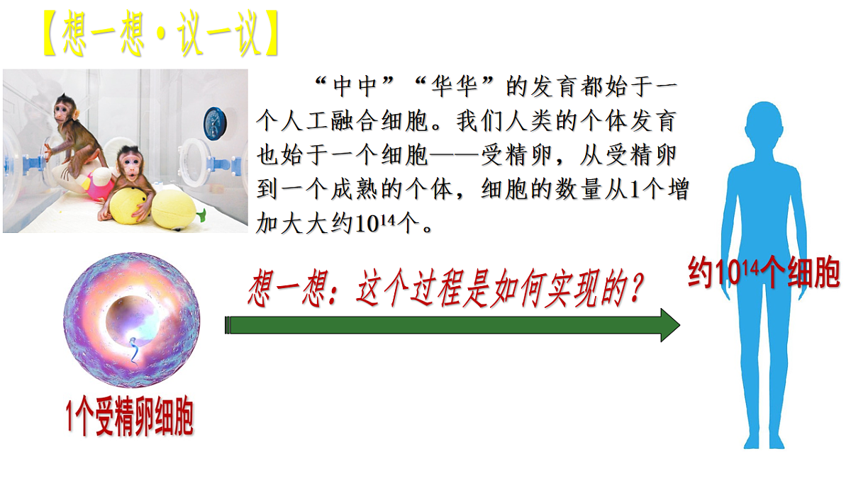 18222299第2页