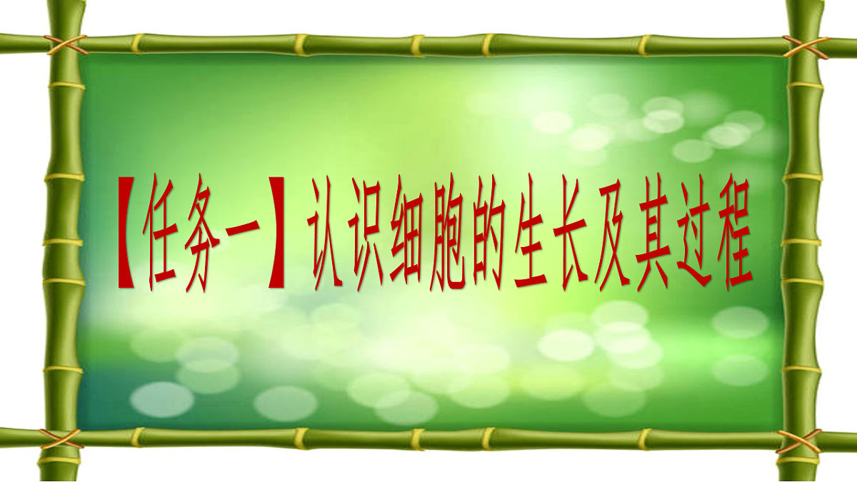 18222299第6页