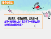 20 灰雀 课件（内嵌视频）-2025-2026学年语文三年级下册统编版