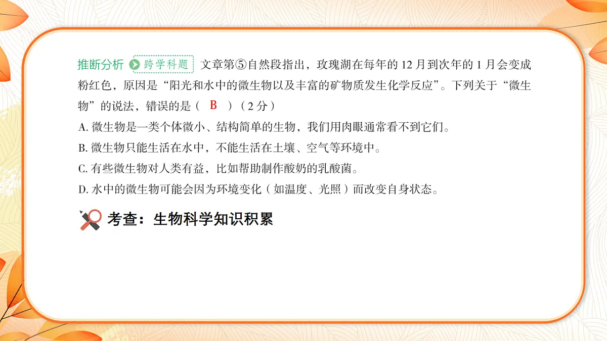 18223581第8页