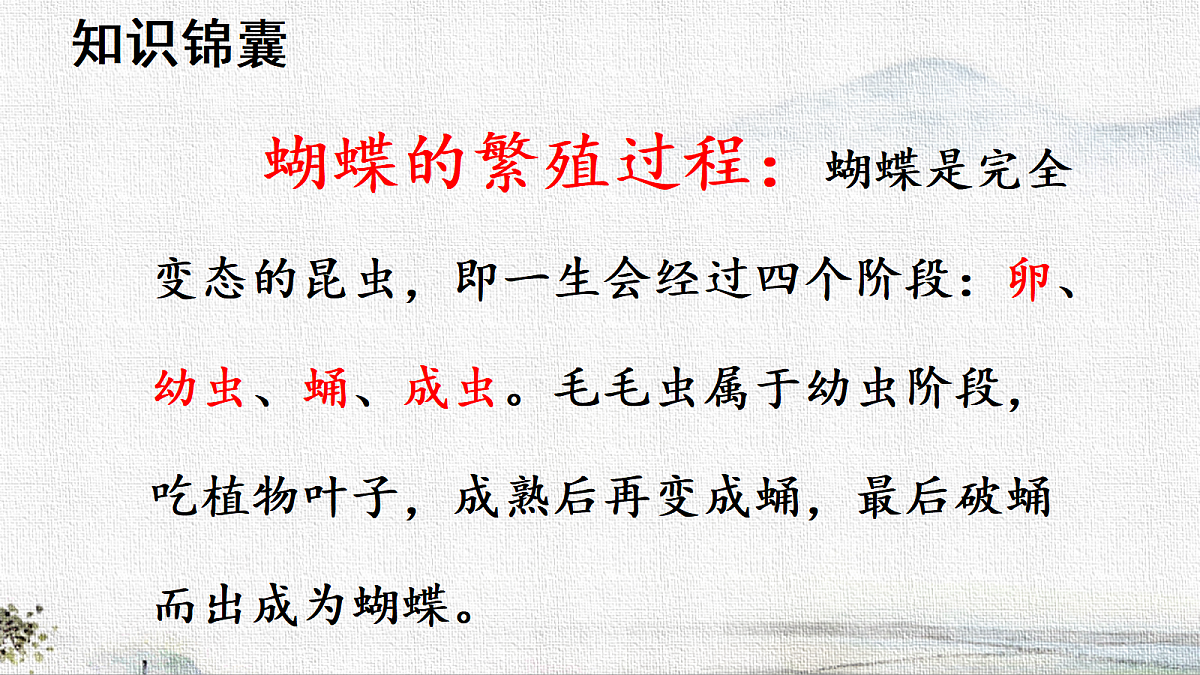 18223710第4页