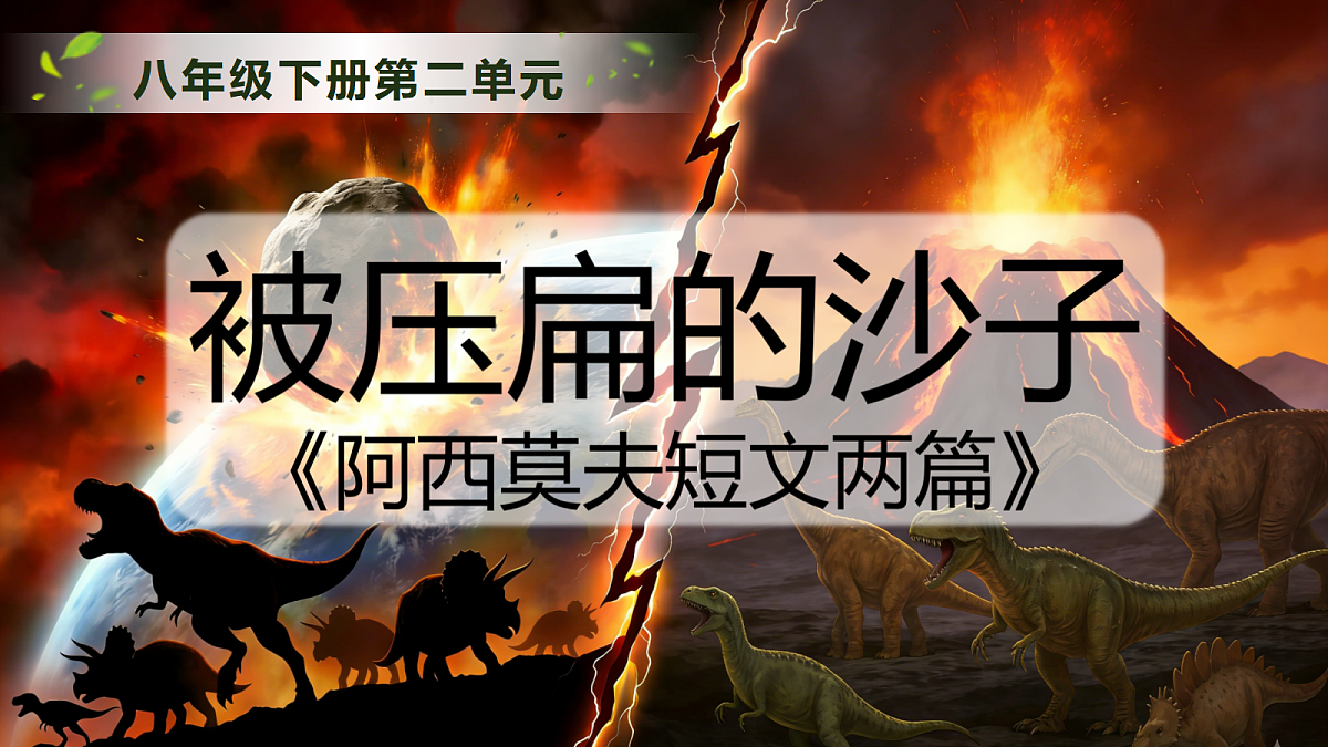 18223953第2页
