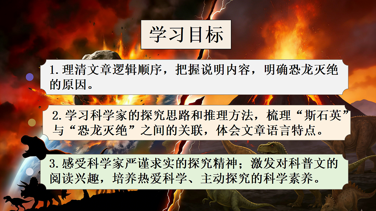 18223953第3页
