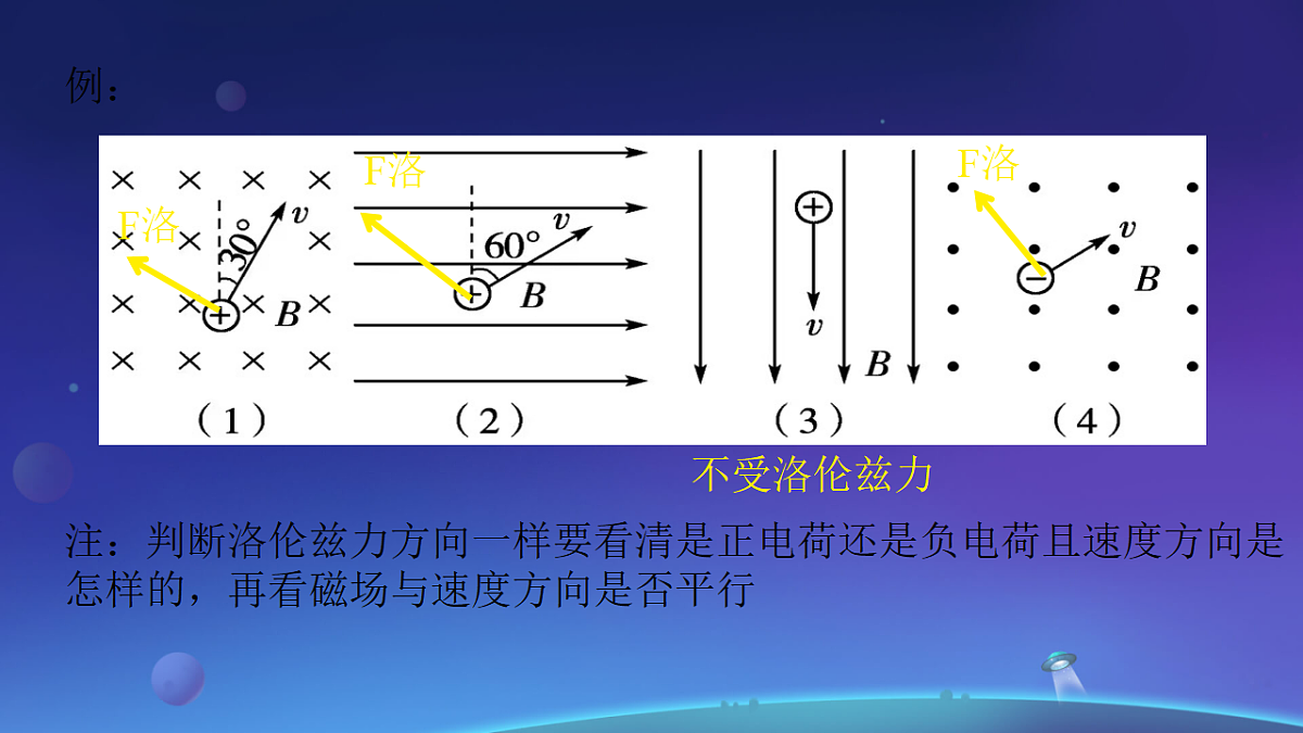 18224309第3页