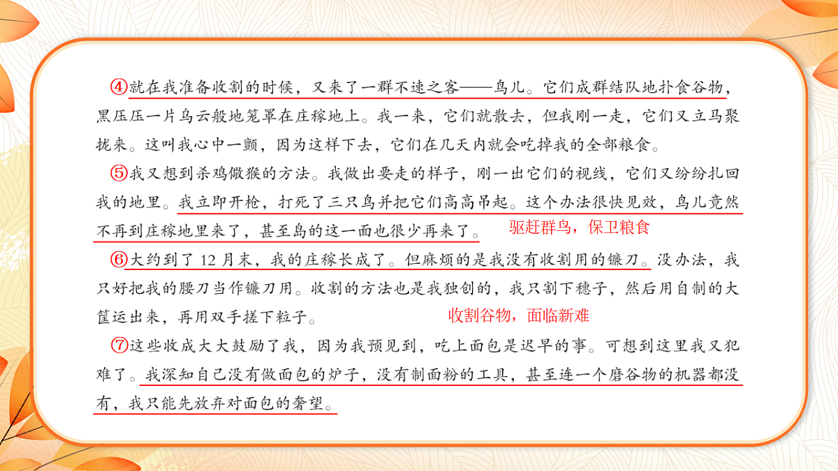 18224465第7页