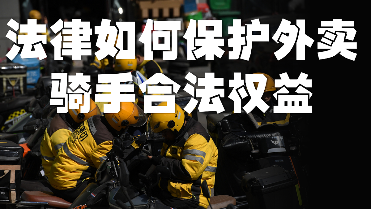 18224556第5页