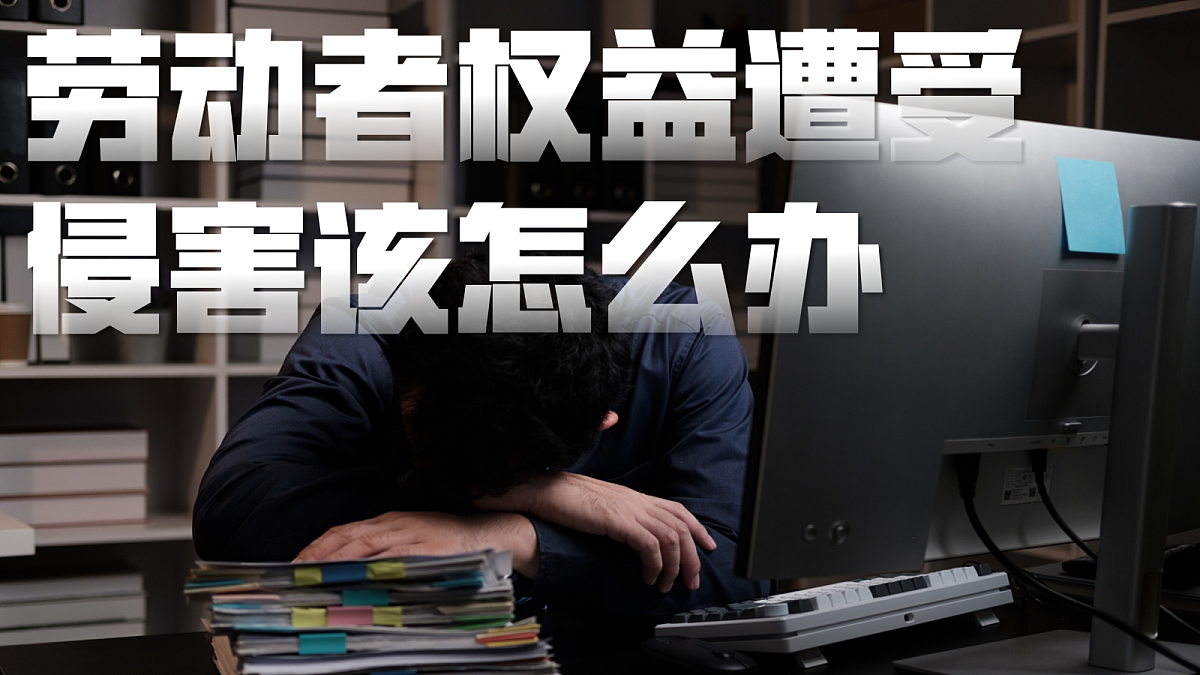 18224559第5页