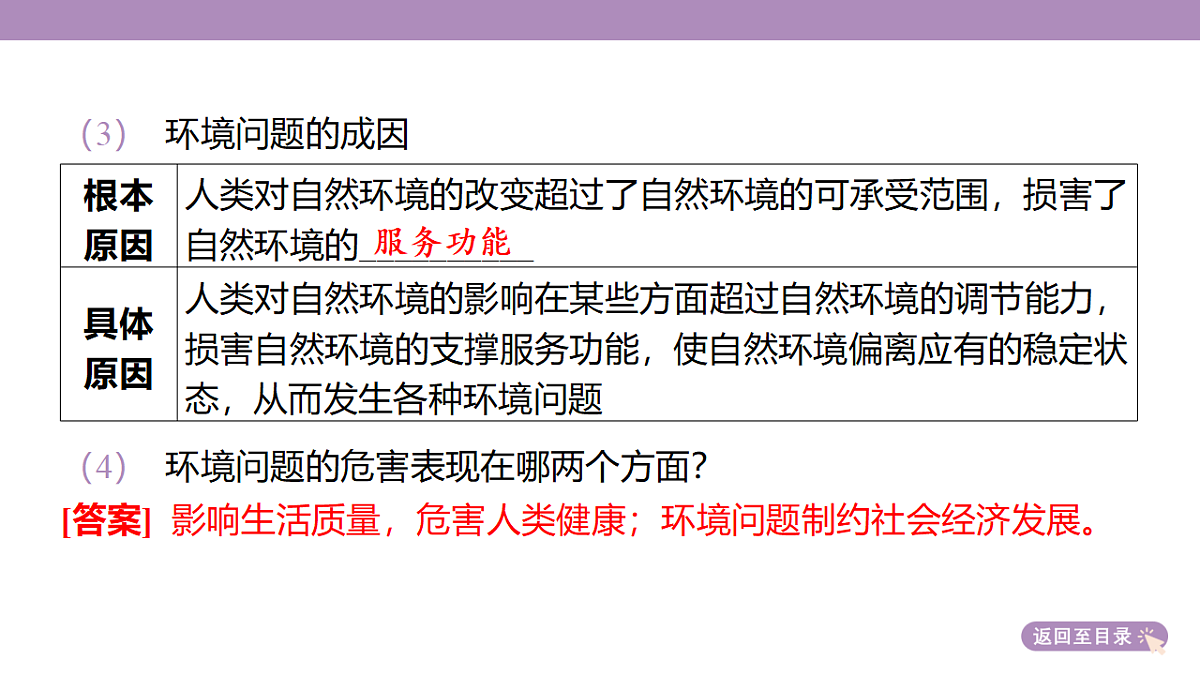 18224667第8页