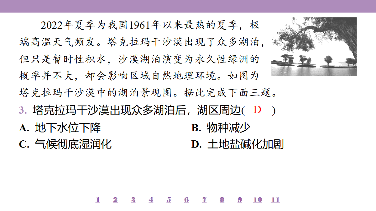 18224771第8页
