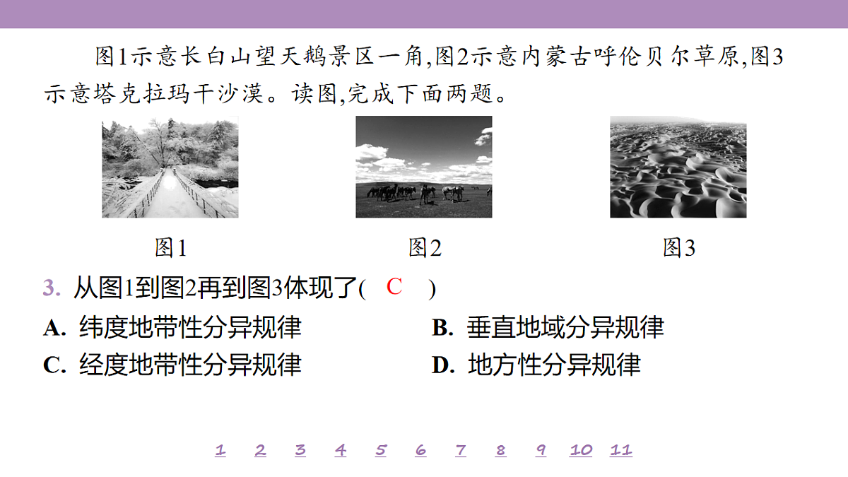 18224772第8页