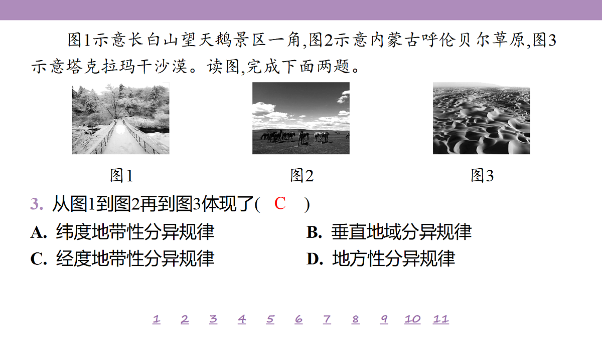 18224855第8页