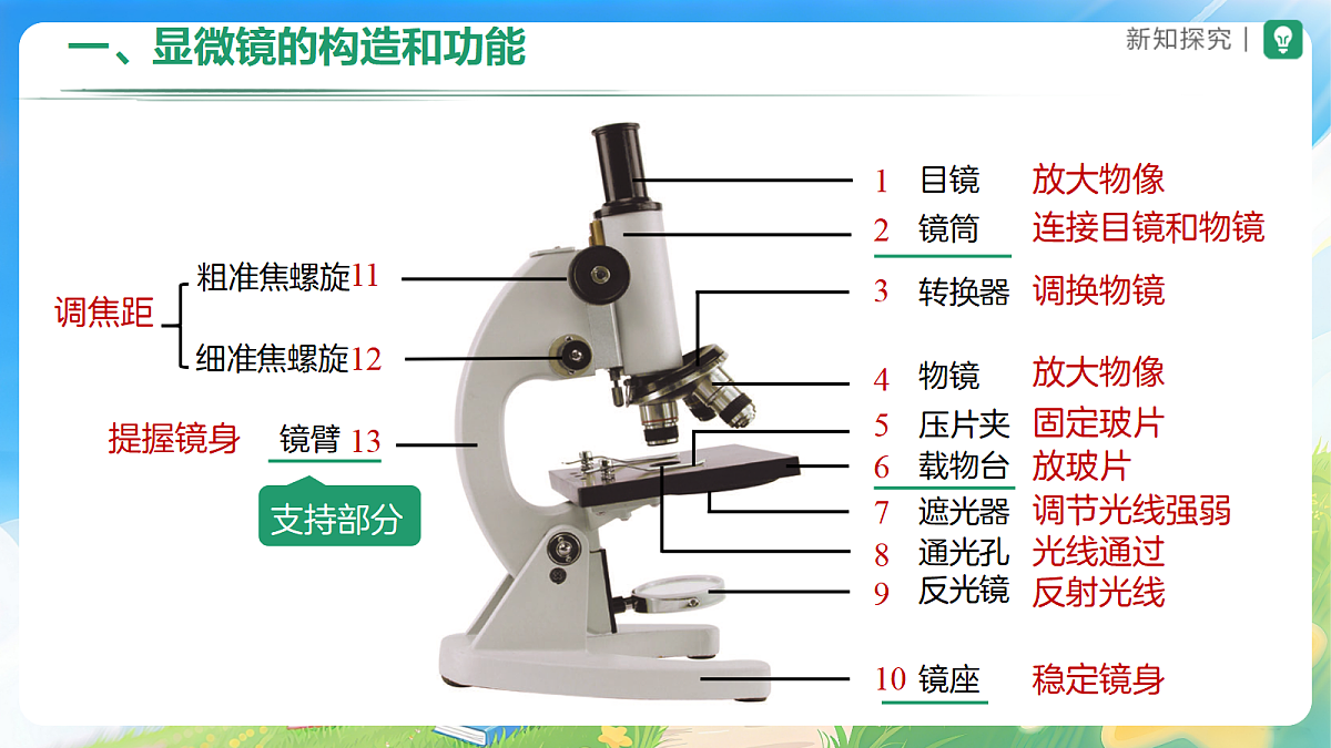 18225927第8页
