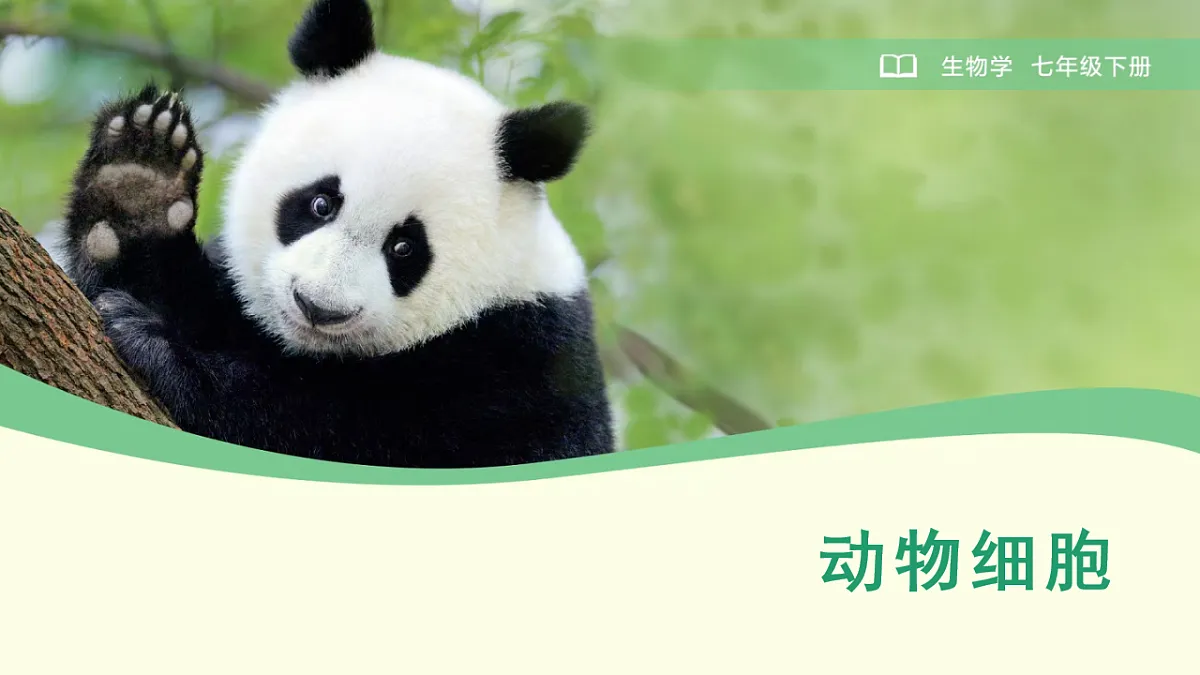 18225928第1页
