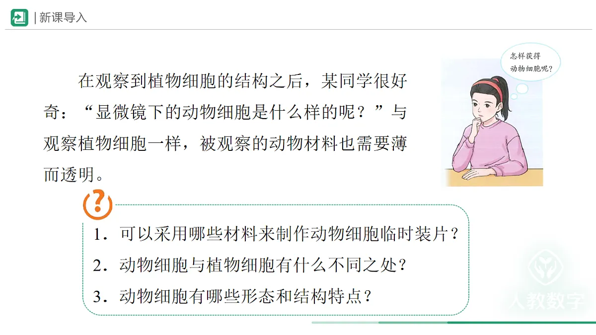 18225928第2页