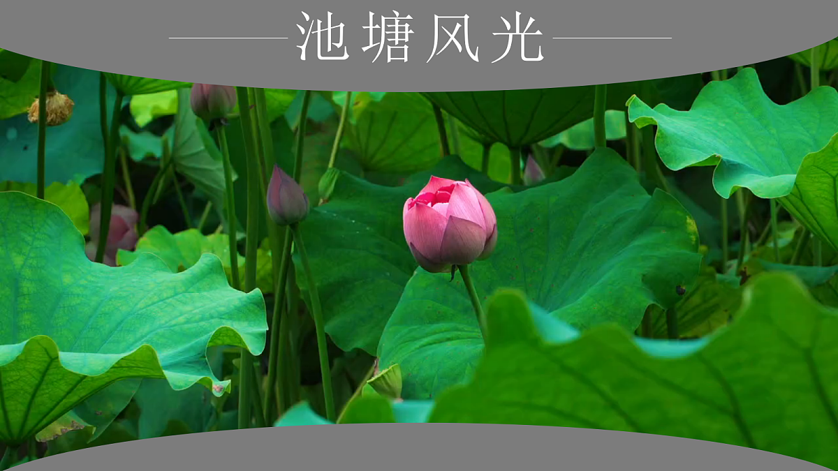 18226136第3页