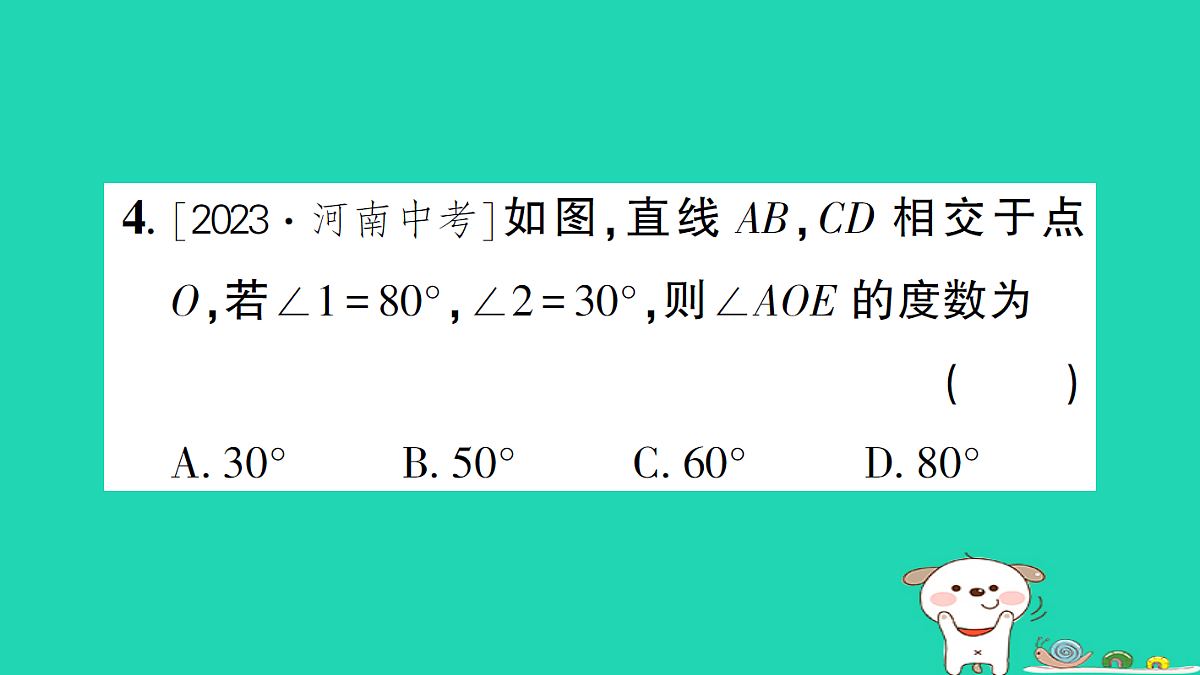 18226393第5页