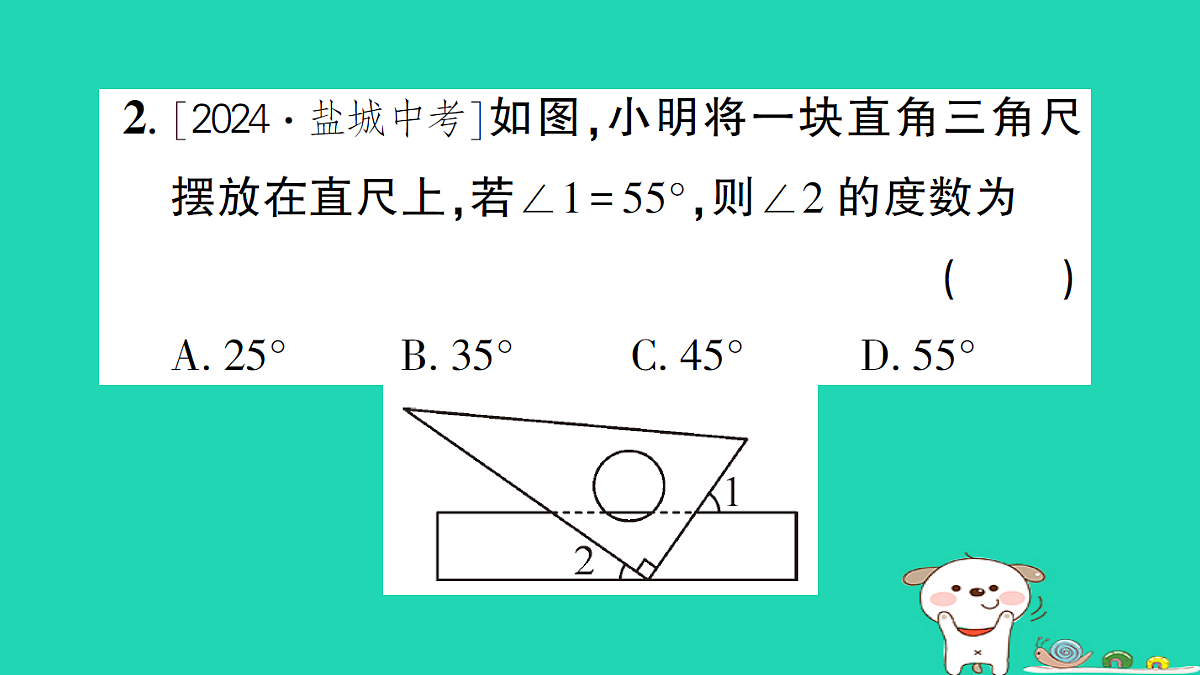 18226397第3页