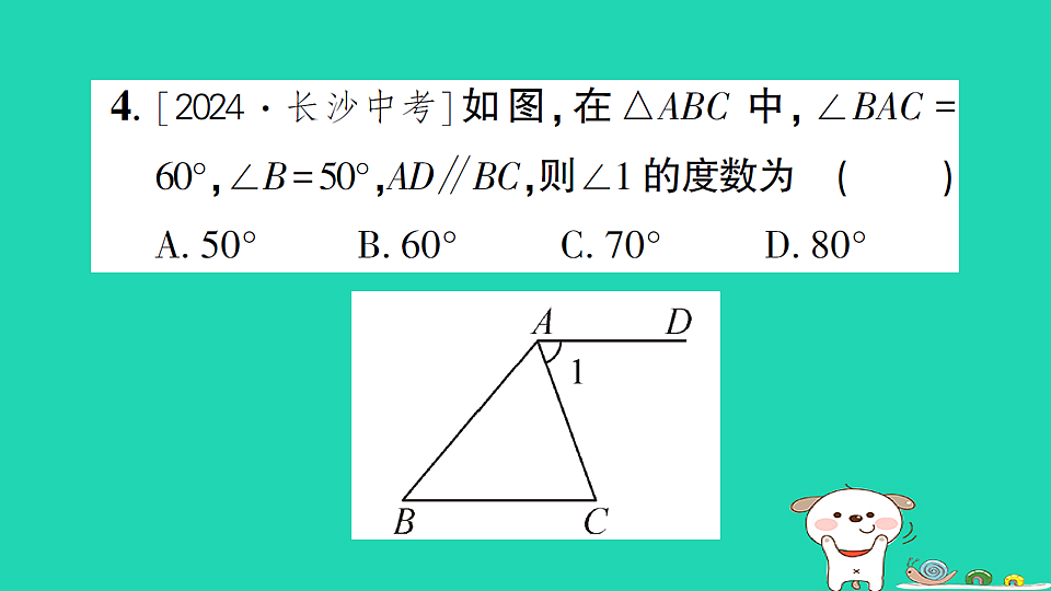 18226406第5页