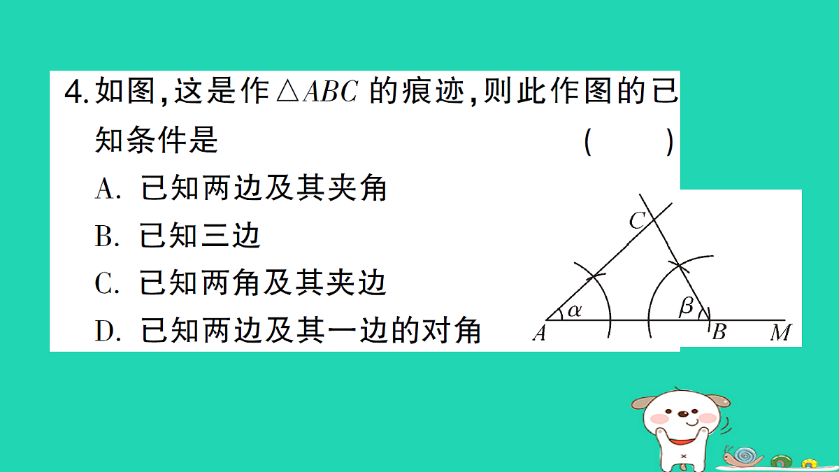 18226445第5页