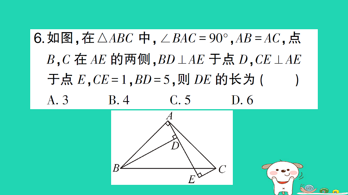 18226445第7页