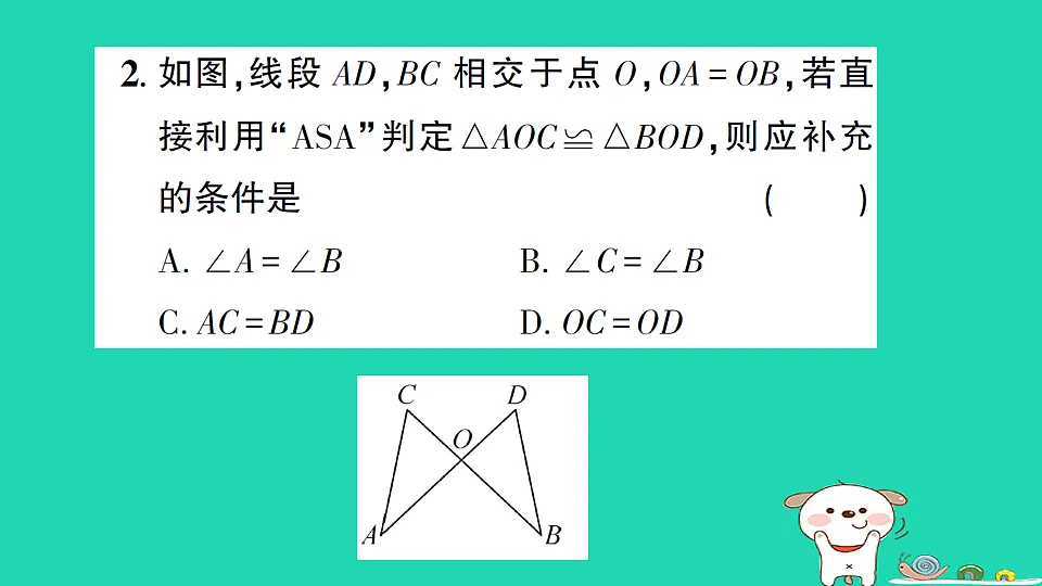 18226505第3页