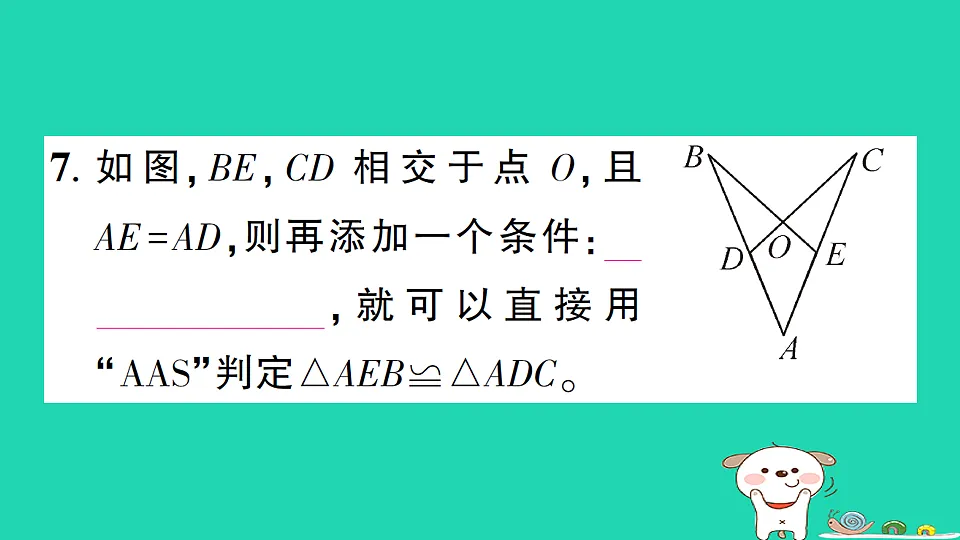 18226505第8页