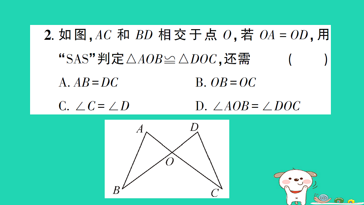 18226507第3页