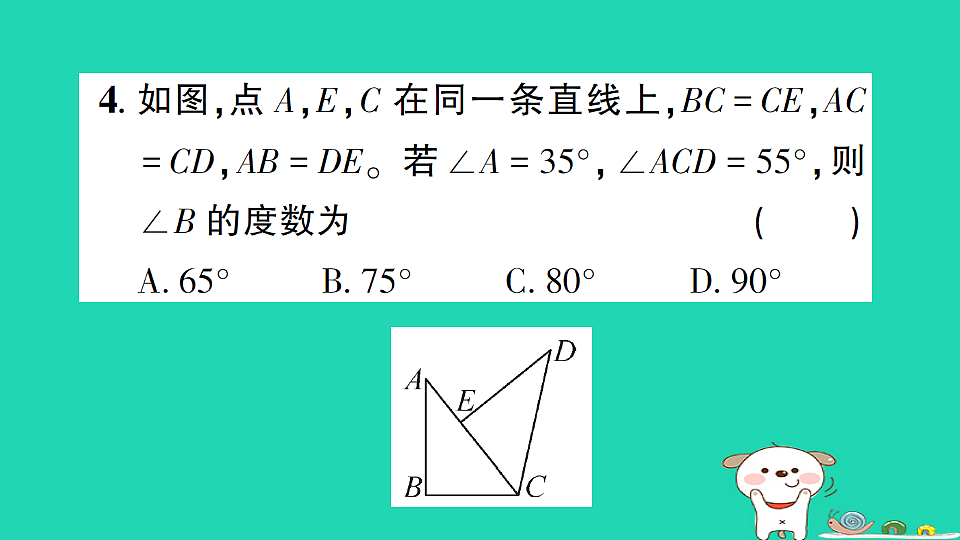 18226508第5页