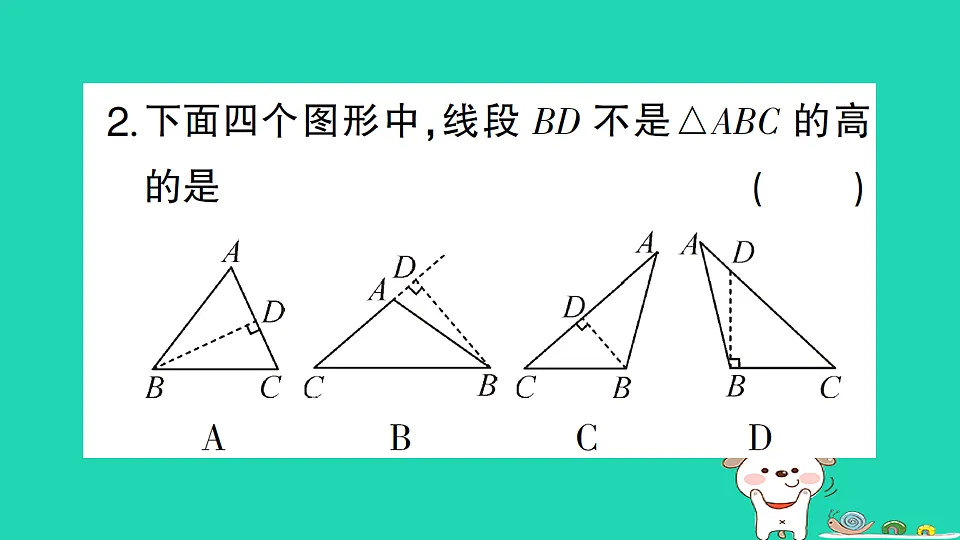 18226552第3页