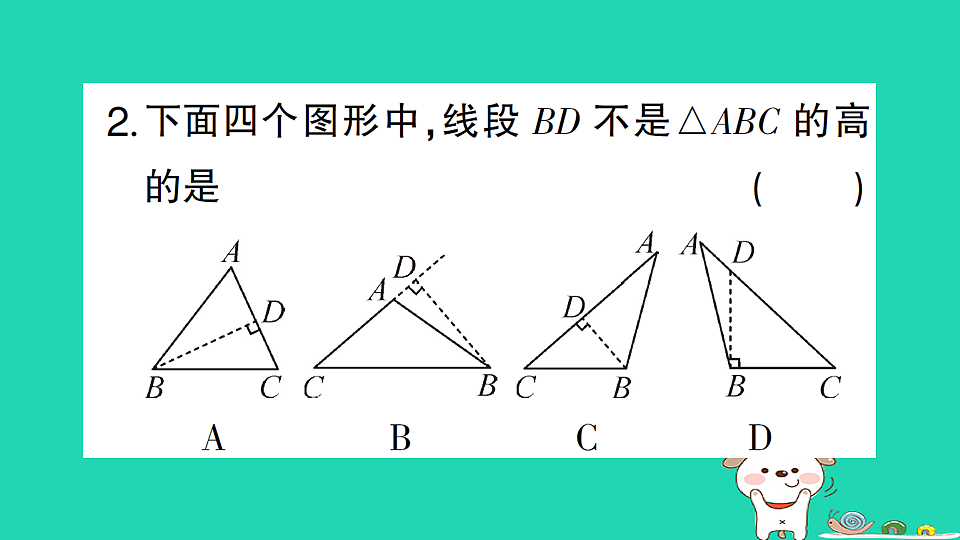 18226552第3页