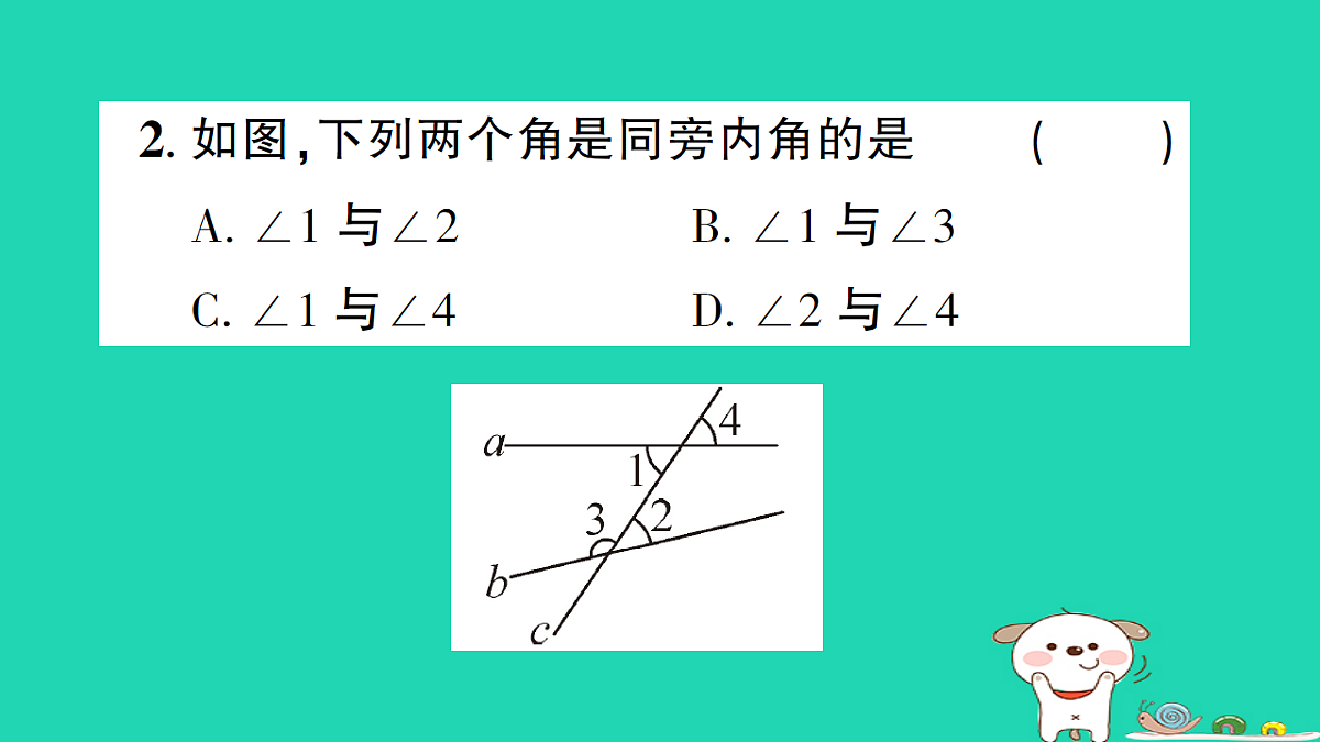 18226559第3页