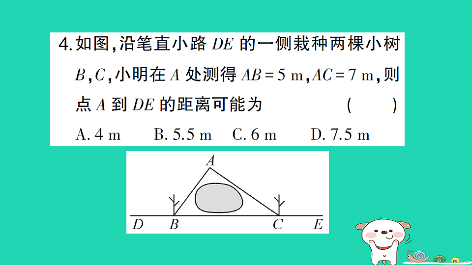 18226561第5页