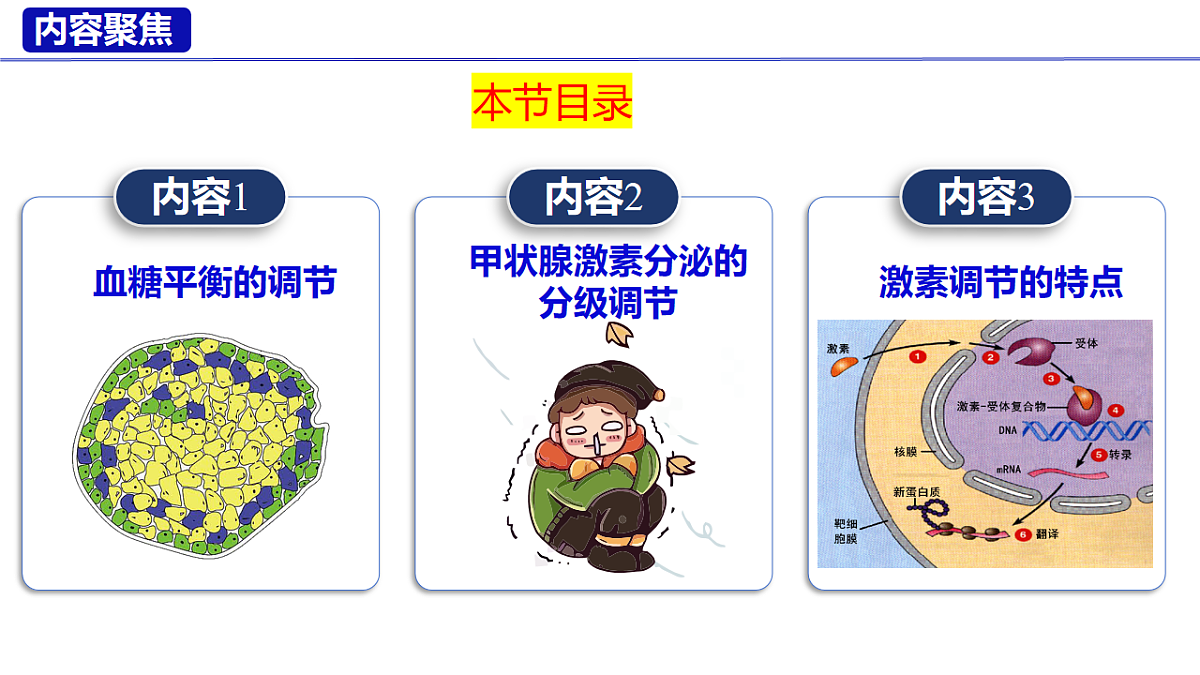 18227337第3页