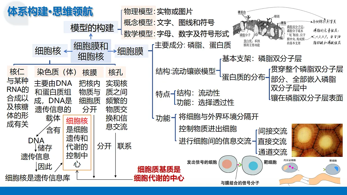 18227340第7页