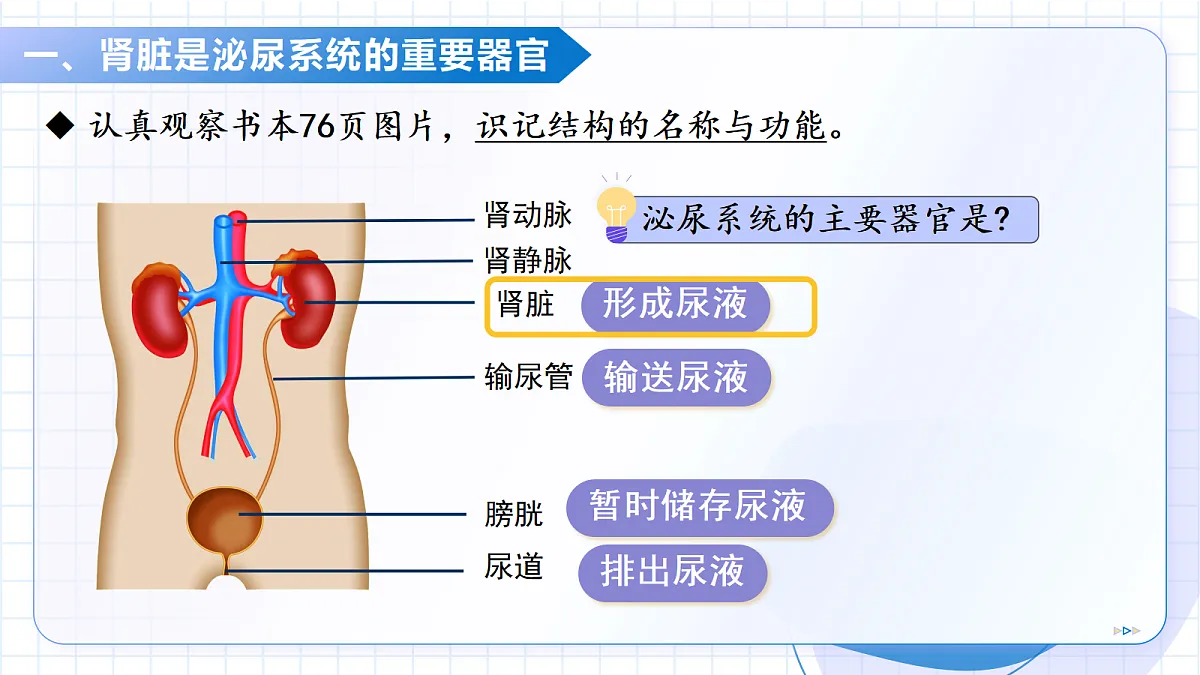 18227378第5页
