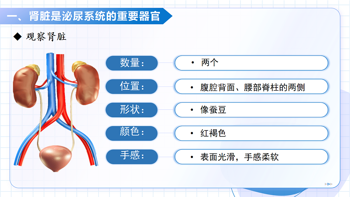 18227378第6页