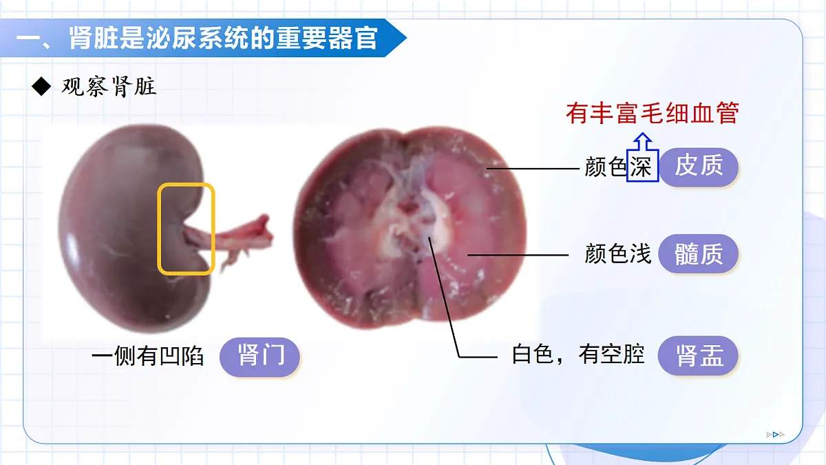 18227378第7页