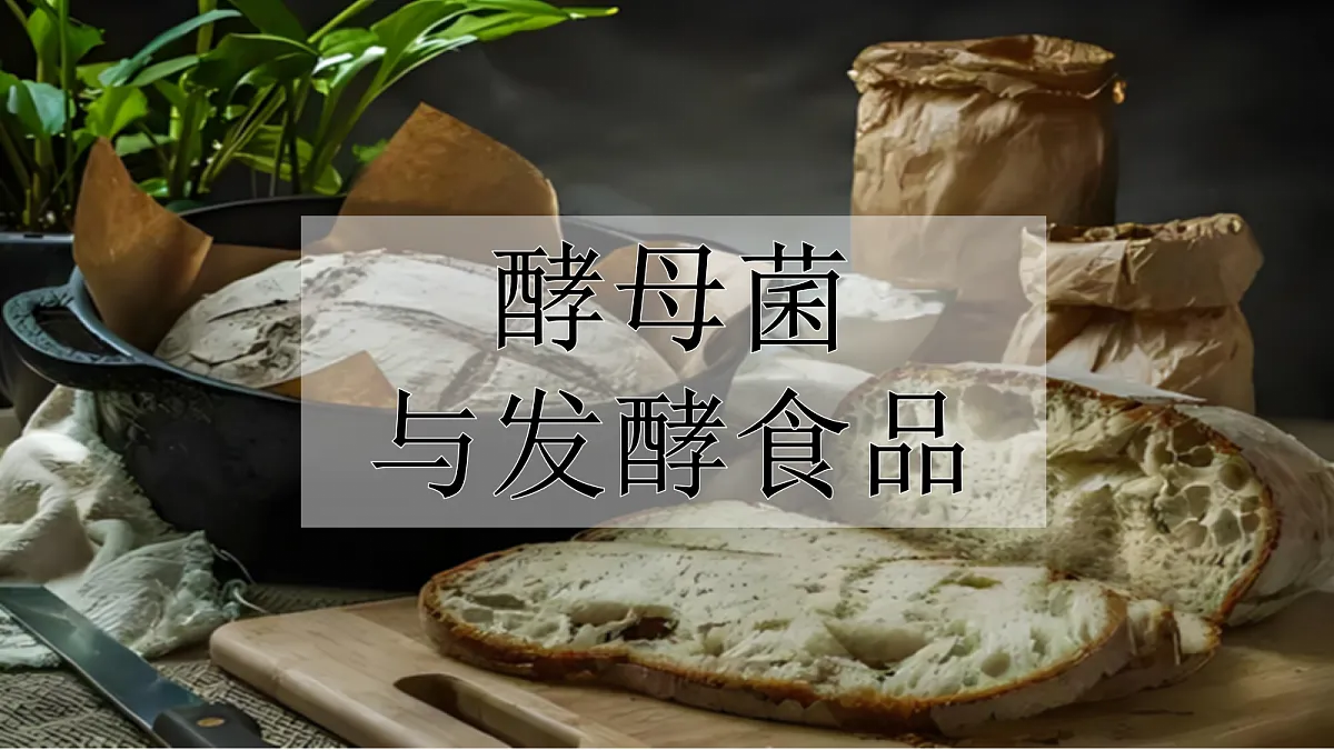 18227780第5页