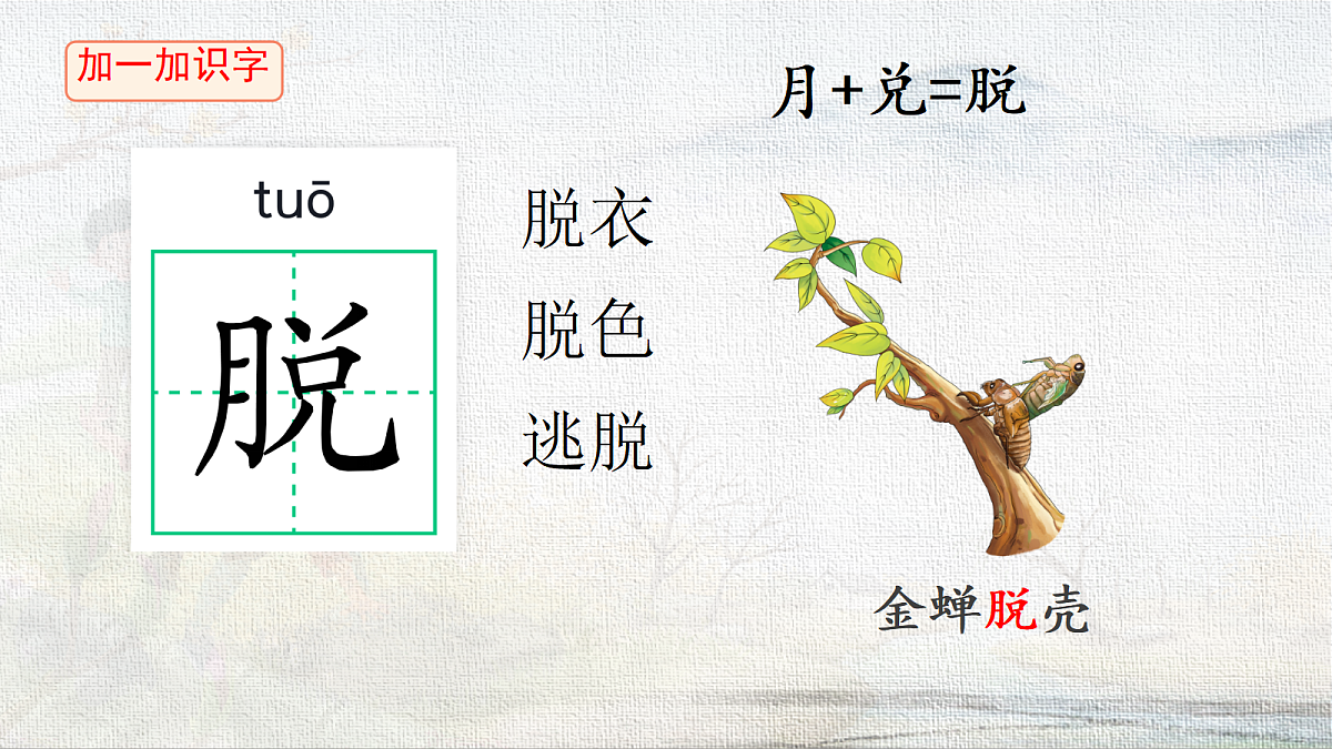 18227900第4页