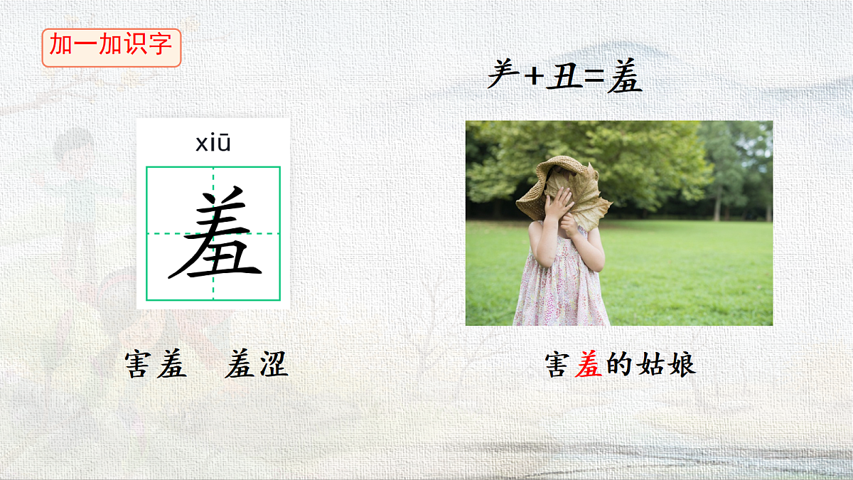 18227900第8页