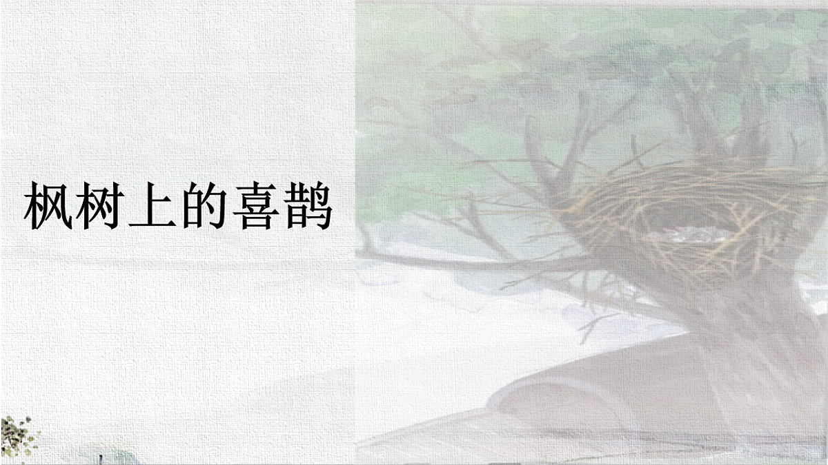 18227905第1页