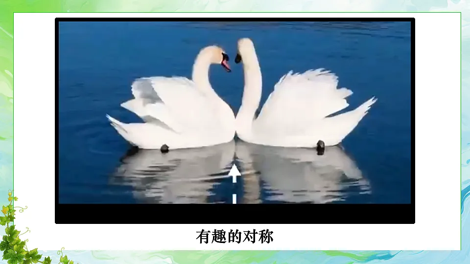 第3课时 对称第2页