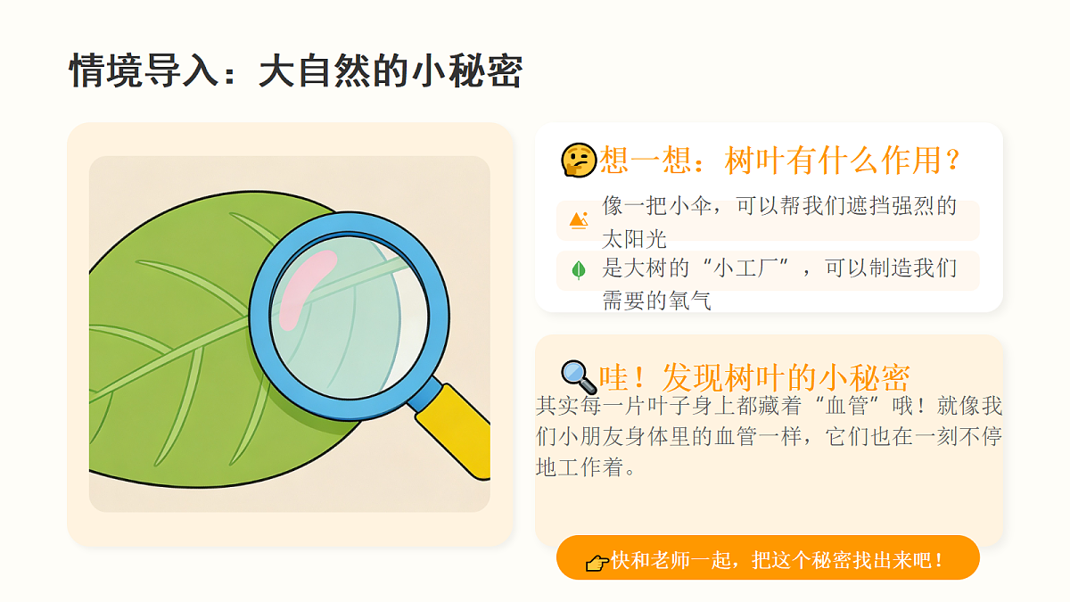 《树叶的“血管”》教学课件第3页