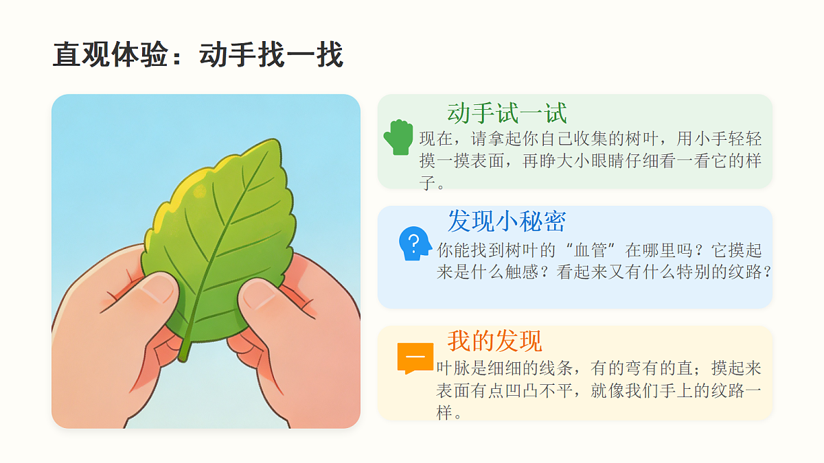《树叶的“血管”》教学课件第4页