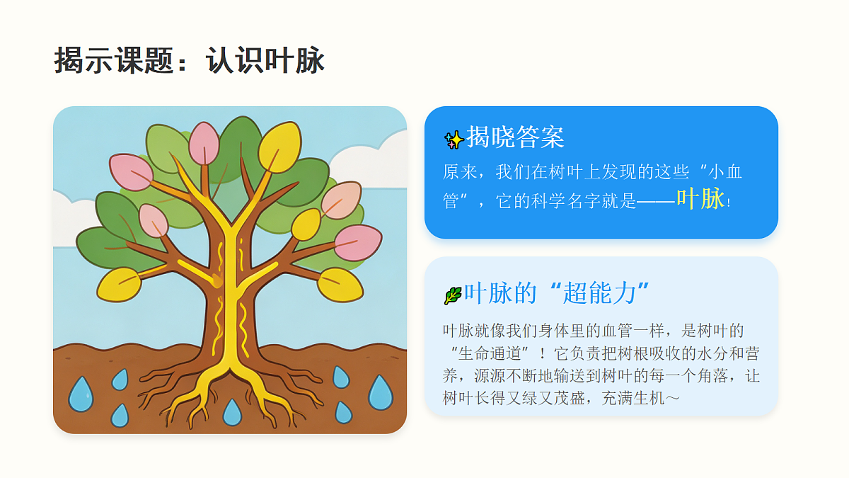 《树叶的“血管”》教学课件第5页