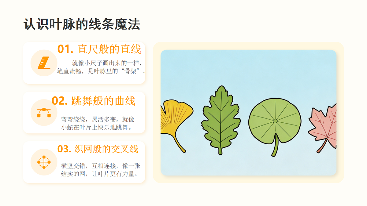 《树叶的“血管”》教学课件第7页