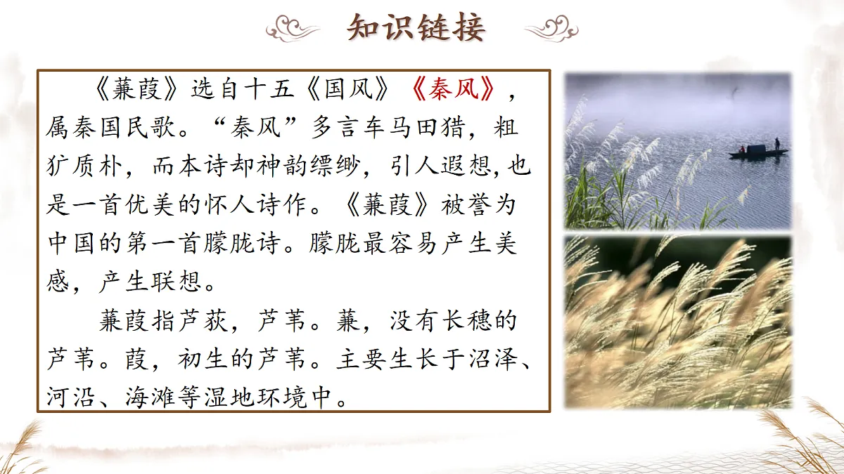 18229192第3页