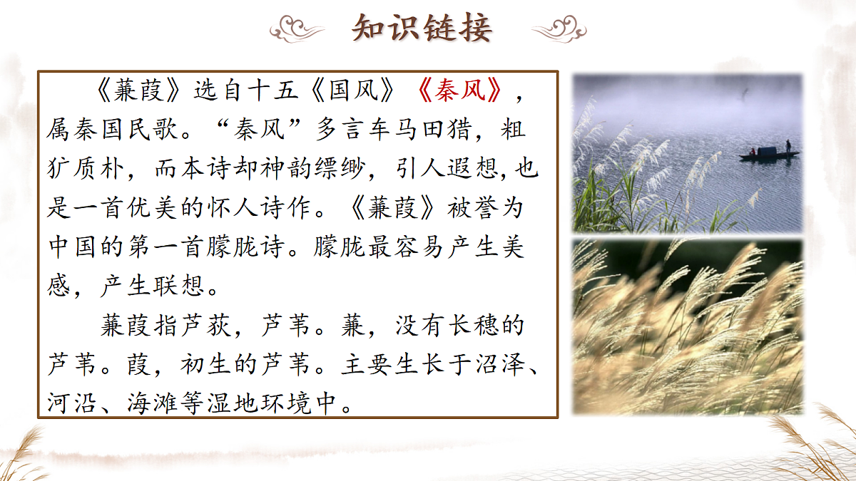 18229192第3页