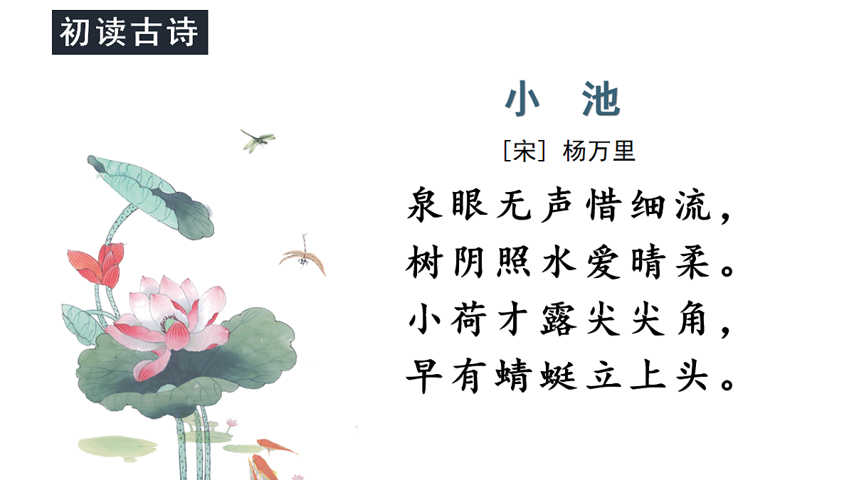 18229459第5页