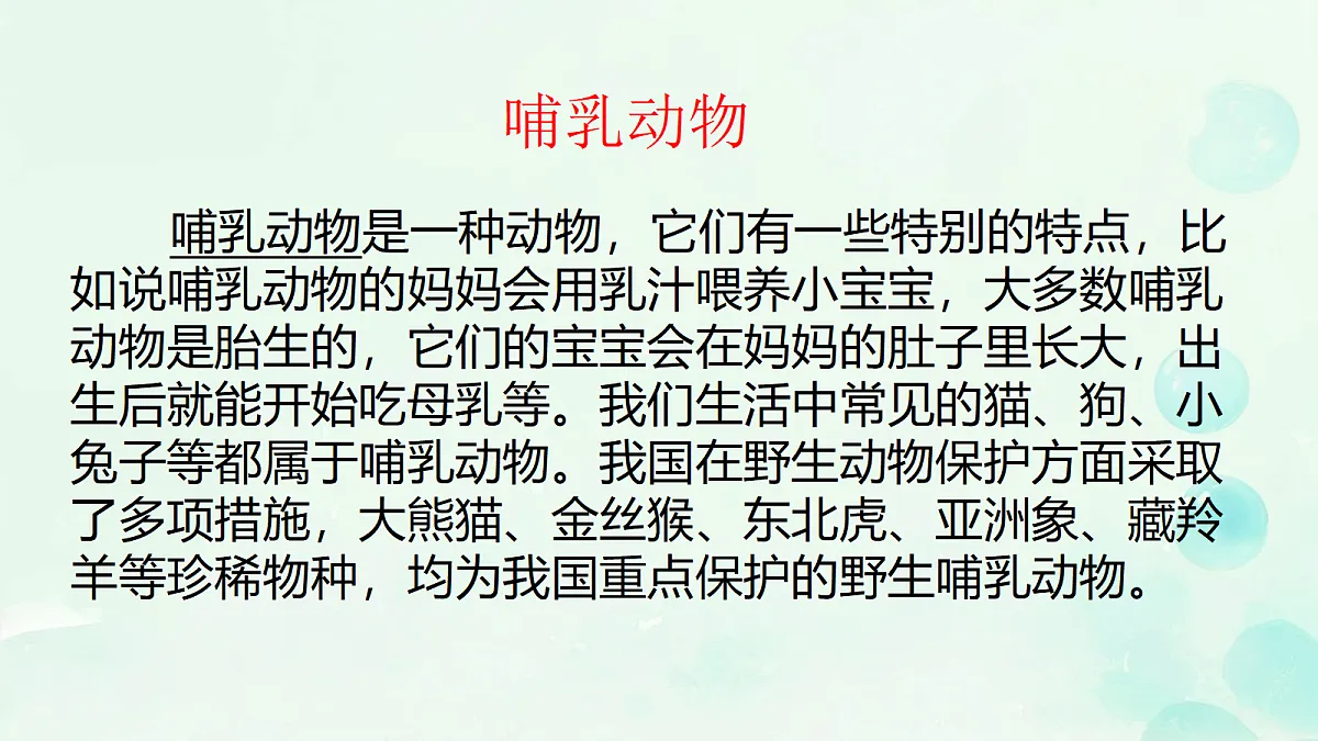 18229522第1页